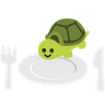 FDinnerPlateTurtle