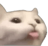 blep