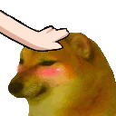 RM_pat_pat_doge