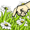 touchgrass