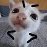 angycat