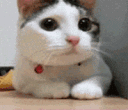emoji_128