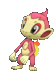 chimchar