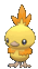 torchic