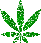 3566weedplantsparkle