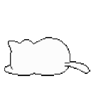 kitten