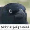 CrowJudge
