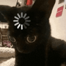LoadingCat1