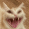 MoggyScreech