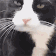 CatLick