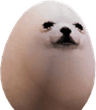 Egg