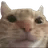 816147068045361152
