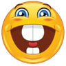 emoji_162