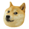 doge