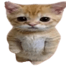 catstand