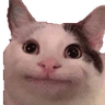 catawkward