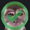 monkeyYES