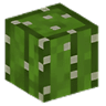 29