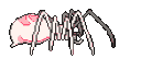 Pink_spider