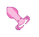 Squid_swims