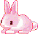Pink_bunny