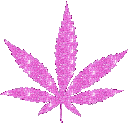 Pink_weed_leaf