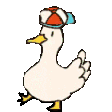aaduckjam