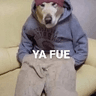 emoji_244