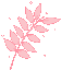 plantpinksparkle