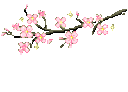 branch