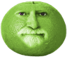 1000059338