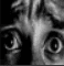 fear