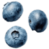 umikoblueberries