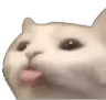 bleb