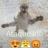 emoji_251