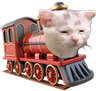 cattrain2