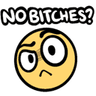 nobitches