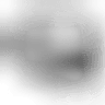 892606845661900830