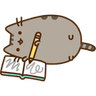 pusheen_write_draw_homework