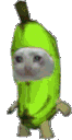 8133catbananaparty