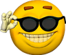 3068joesunglases