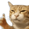5426catliked