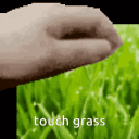 touchgrass
