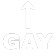 05_gay