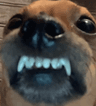 6832dog