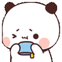 pandabroken27