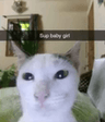 supbabygirl