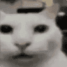 A0BC1A3B29A44D2BA1787A253A9B0231