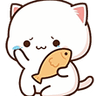 nya_tear_fish