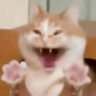 emoji_84